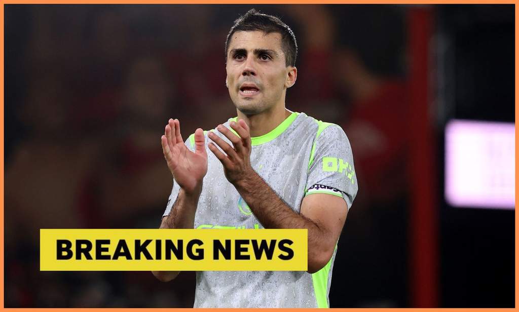 Pemain tengah Manchester City di lapangan hijau